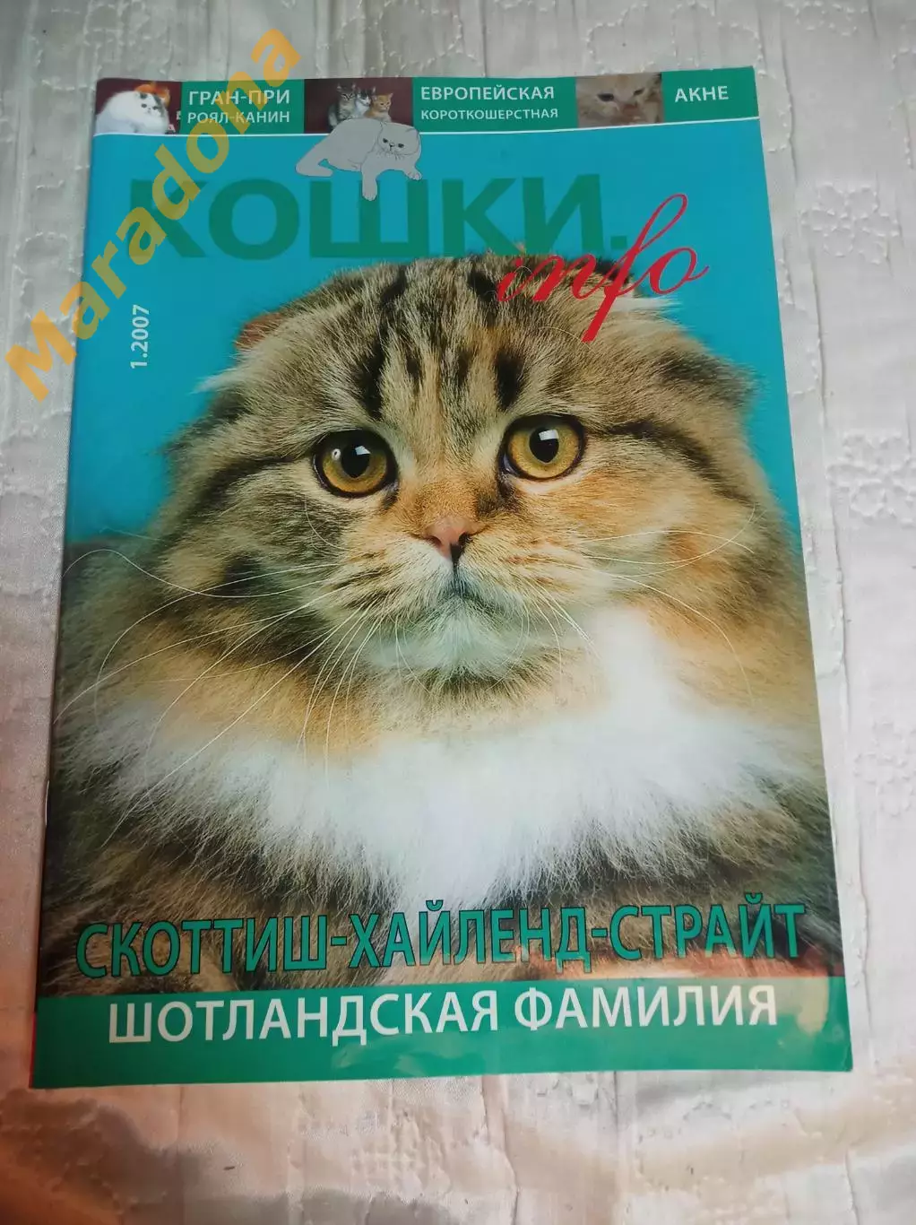 Журнал Кошки-инфо #1 2007