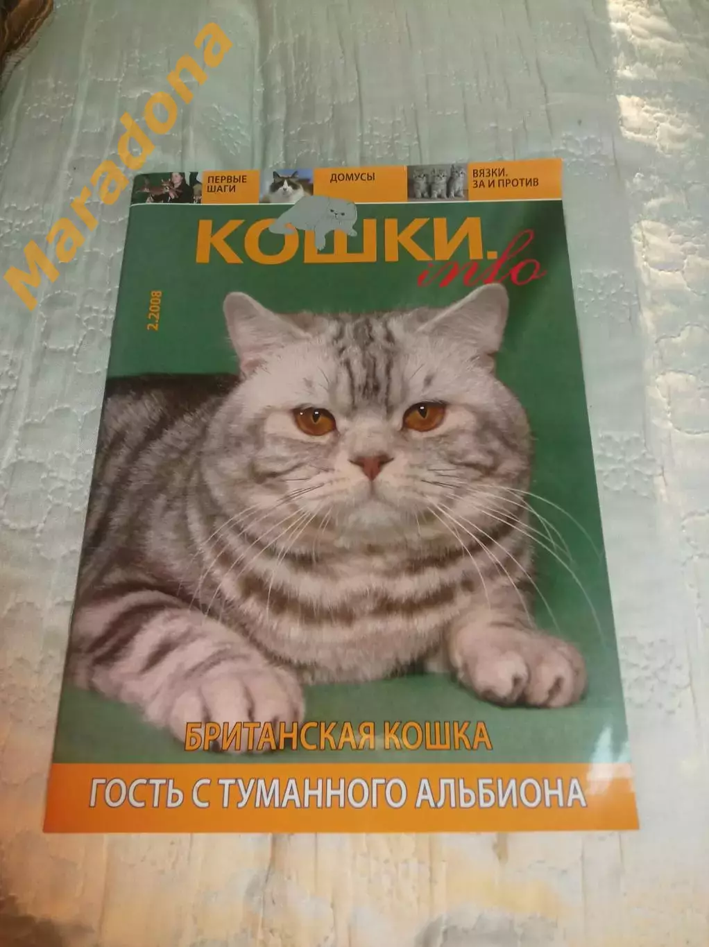 Журнал Кошки-инфо #2 2008