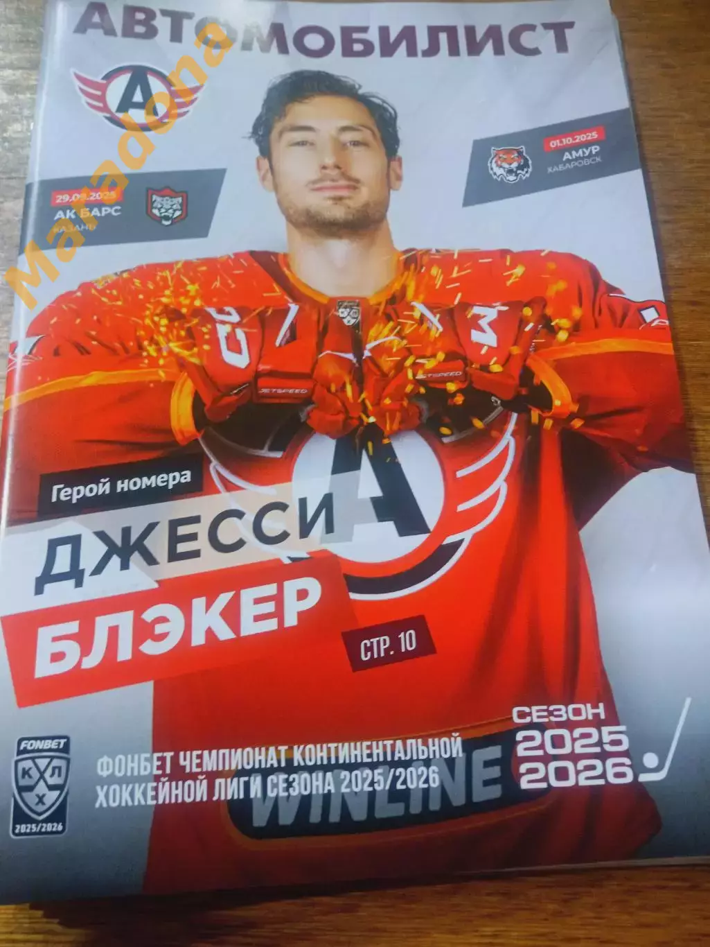 Автомобилист Екатеринбург - АК Барс Казань Амур Хабаровск 2025/2026