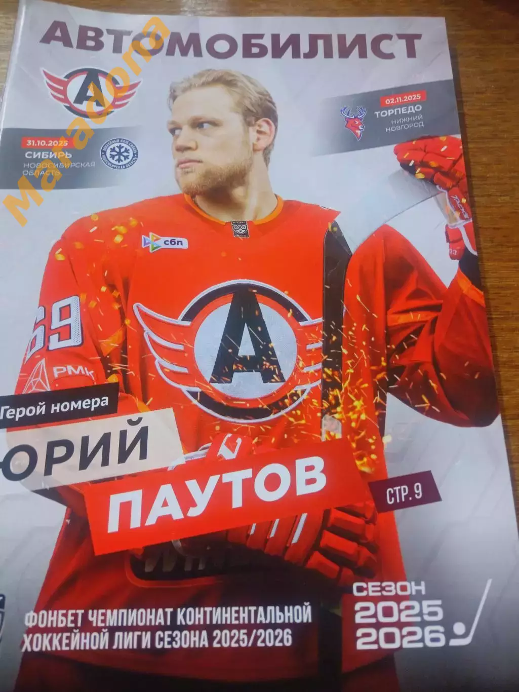 Автомобилист Екатеринбург - Сибирь Новосибирск Торпедо Нижний Новгород 2025/2026