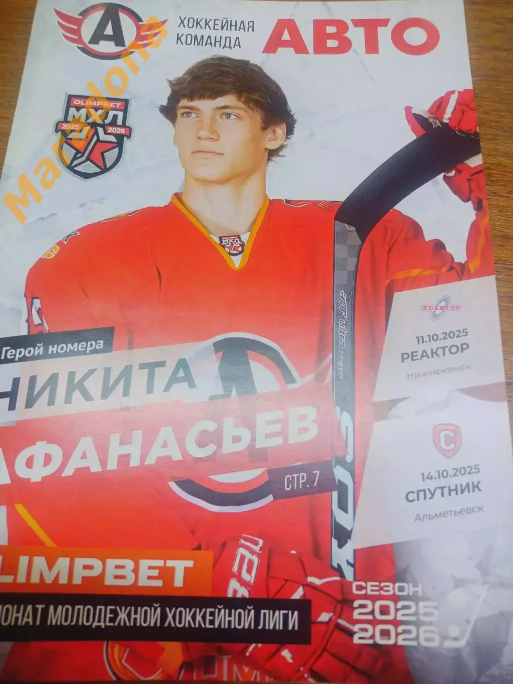 Авто Екатеринбург - Реактор Нижнекамск + Спутник Альметьевск 2025/2026