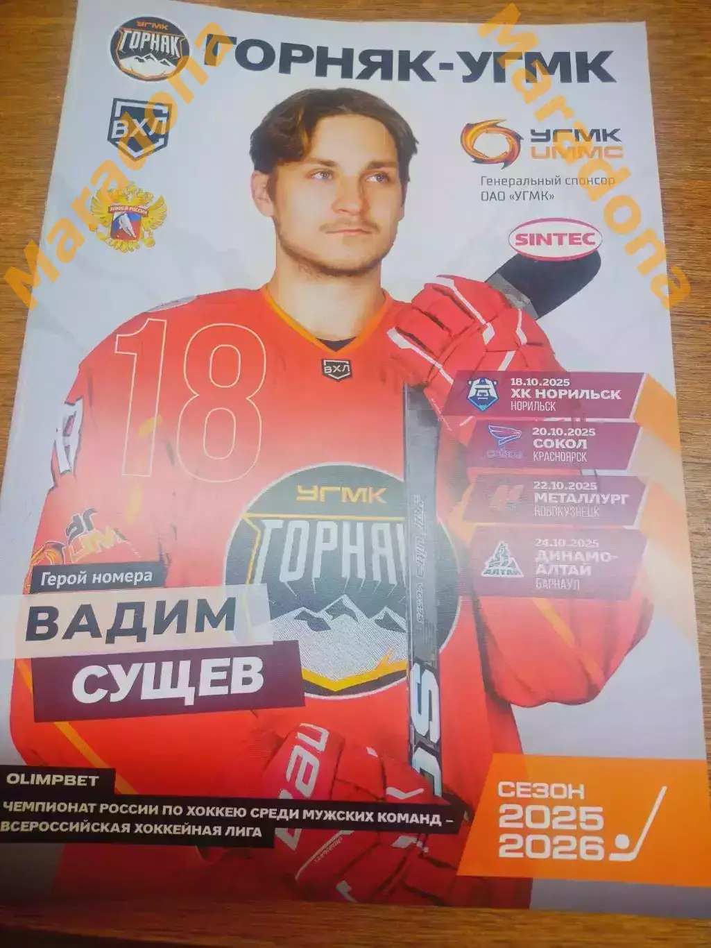 Горняк-УГМК Верхняя Пышма - Норильск Сокол Новокузнецк Динамо-Алтай 2025/2026