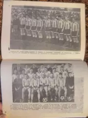 Динамо Брянск 1990