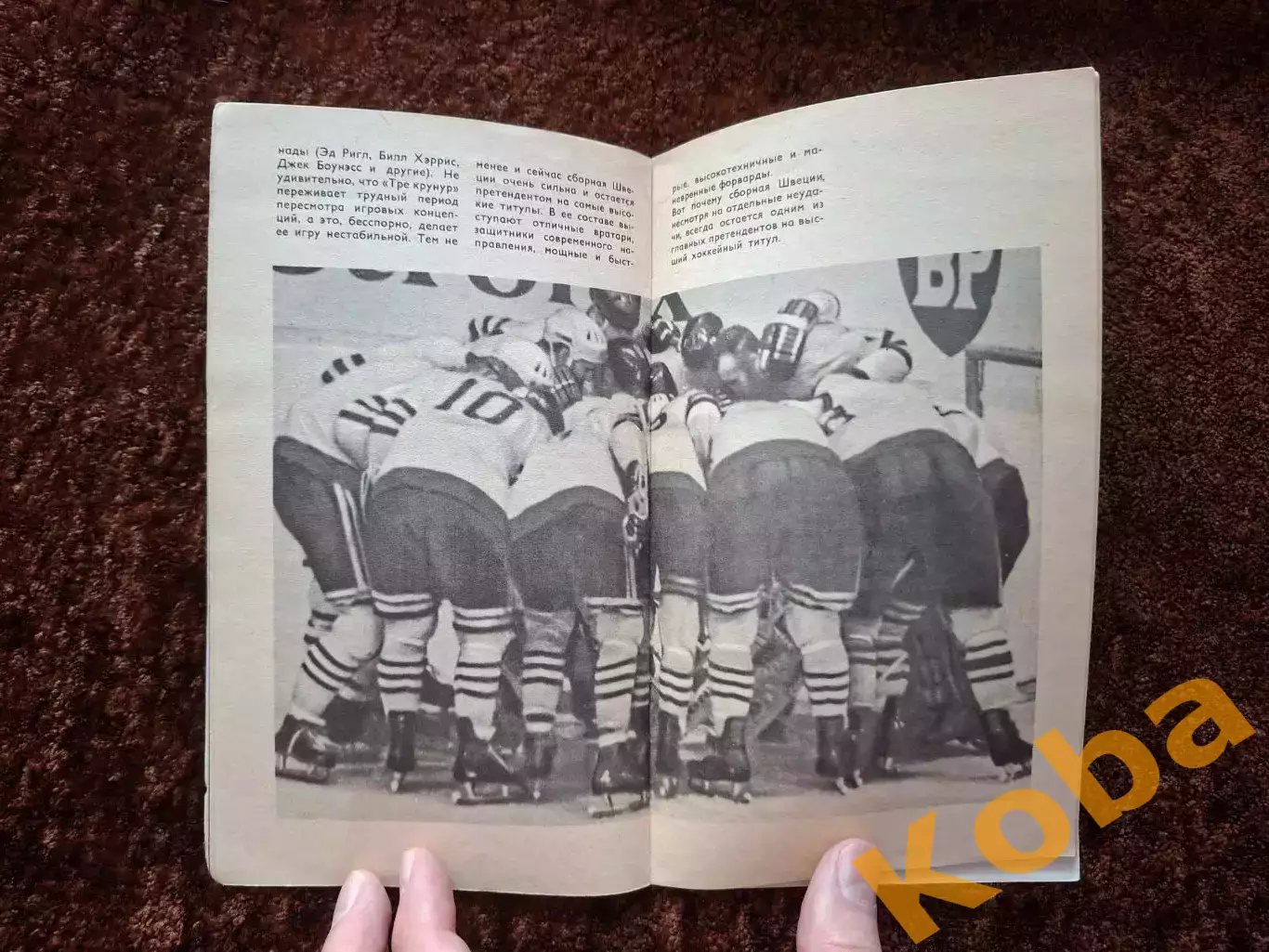 Чемпионат Мира и Европы по хоккею 1973 Москва СССР Вид 2 6