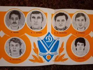 Динамо Москва 1989 Хоккей с мячом