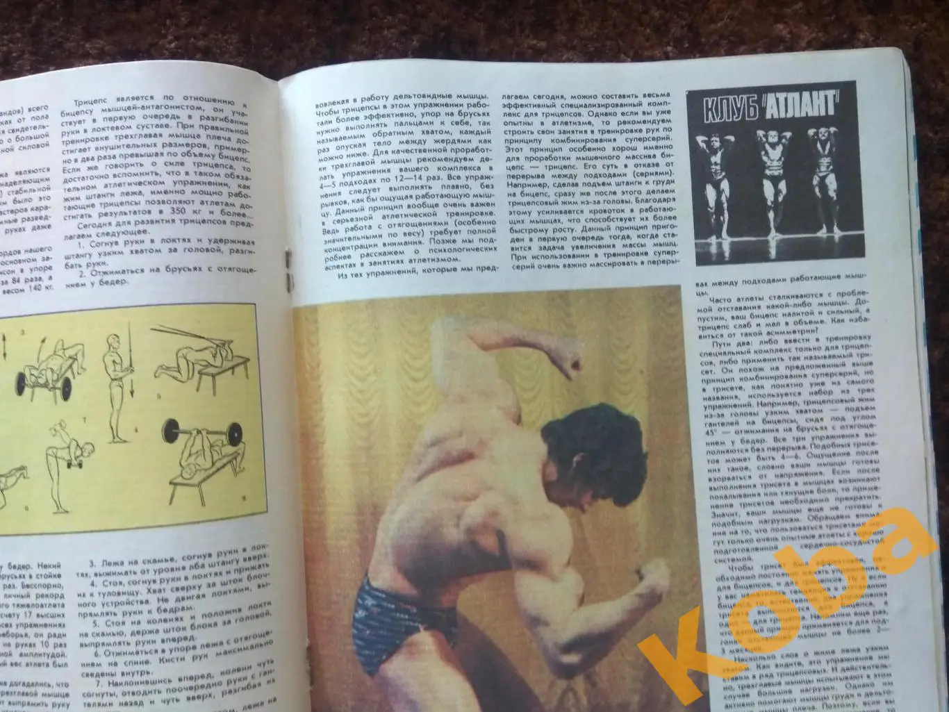 Футбол Динамо Киев Симонян Гимнастика Шахматы Атлети Физкультура и спорт 1987 №8 4