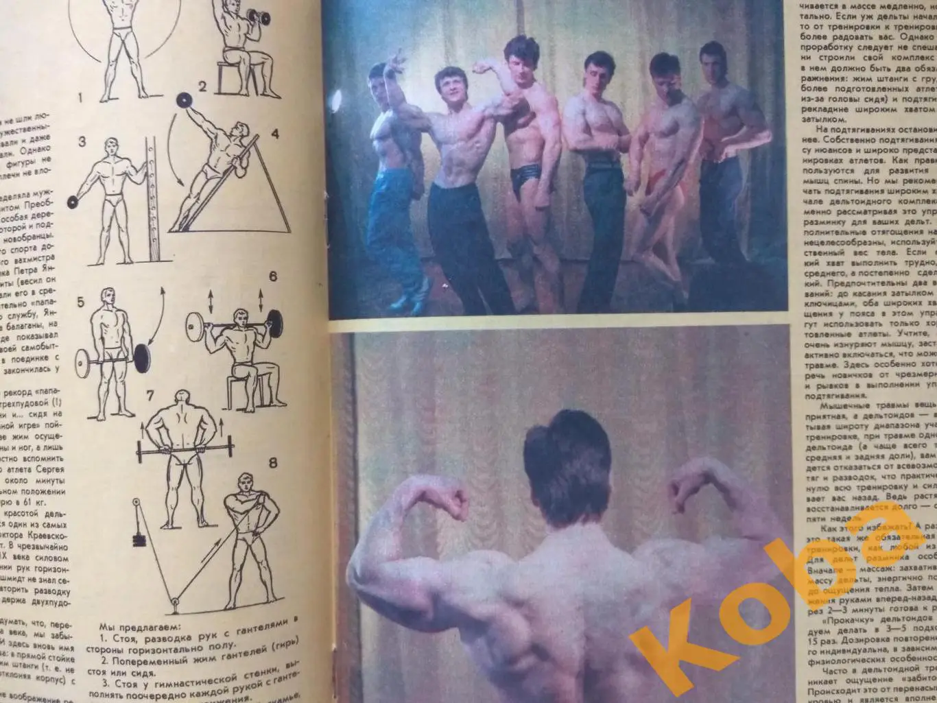 Волейбол Альпинизм Месснер Бейсбол Тяжёлая атлетика Физкультура и спорт 1987 №9 5