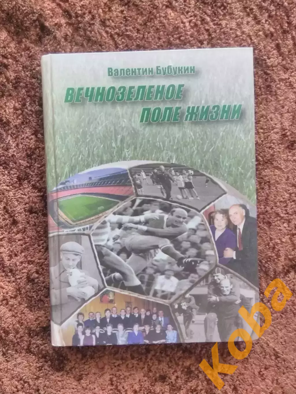 Вечнозеленое поле жизни В. БУБУКИН АВТОГРАФ Футбол 2003