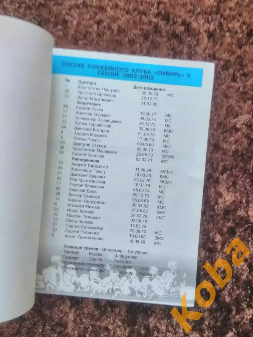 Сибирь Новосибирск 2002 - 2003 Хоккей с шайбой Левинская 6