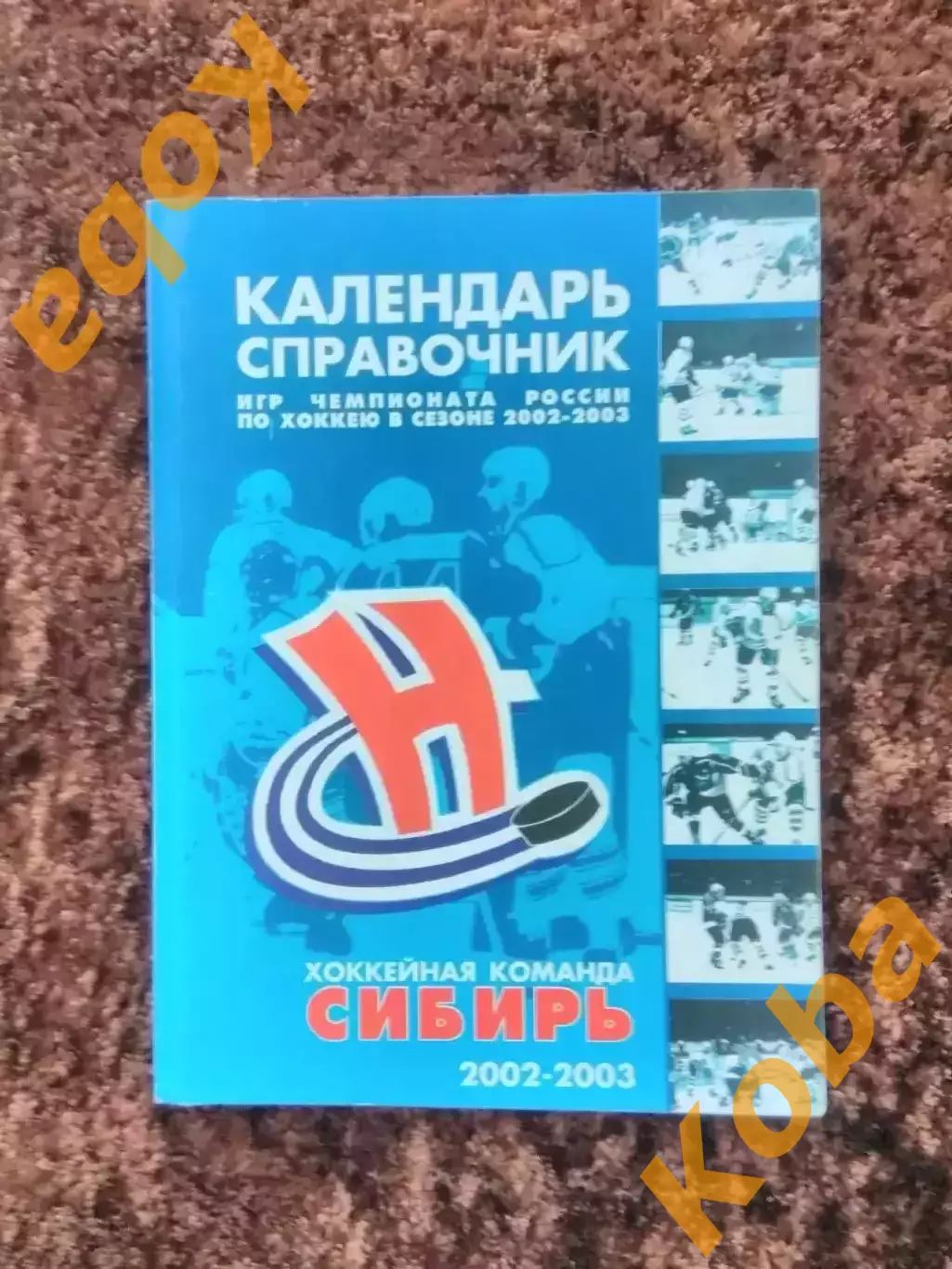 Сибирь Новосибирск 2002 - 2003 Хоккей с шайбой Левинская