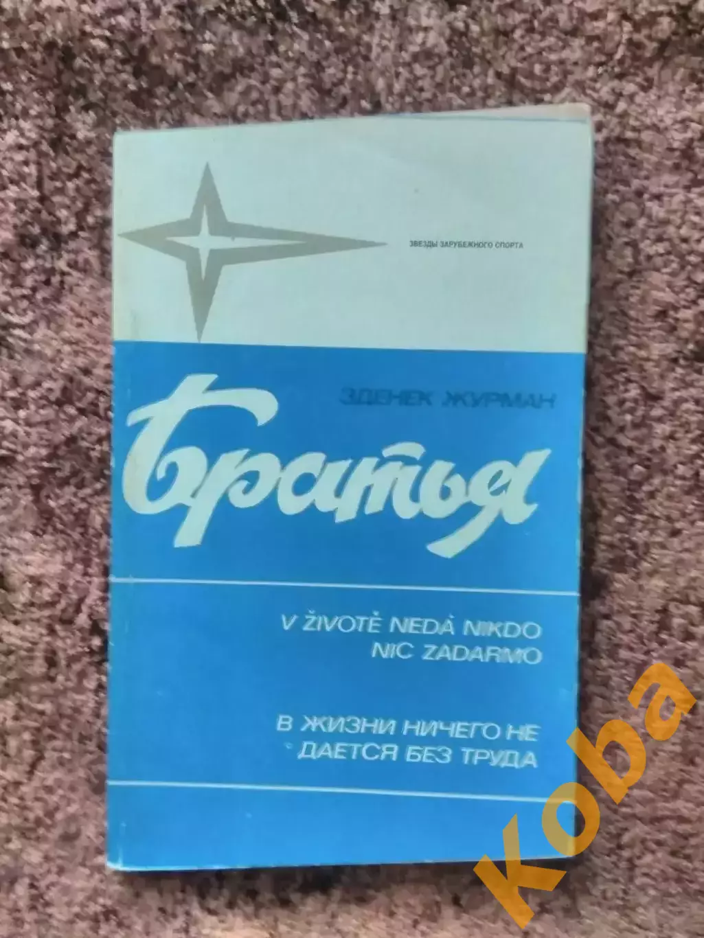 Братья Журман Хоккей 1984 Чехословакия