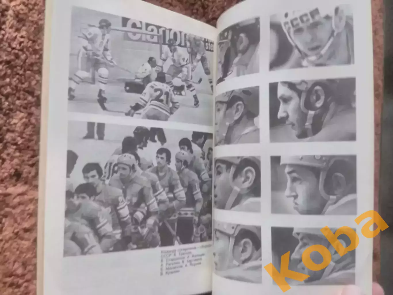 Братья Журман Хоккей 1984 Чехословакия 1