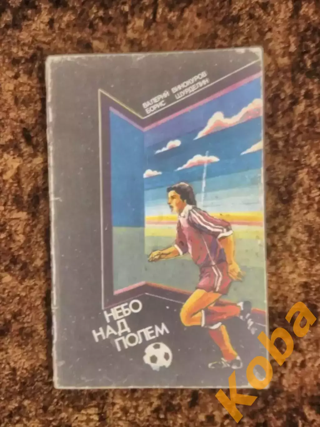 Небо над полем 1983 Винокуров Шурделин Футбол ФиС