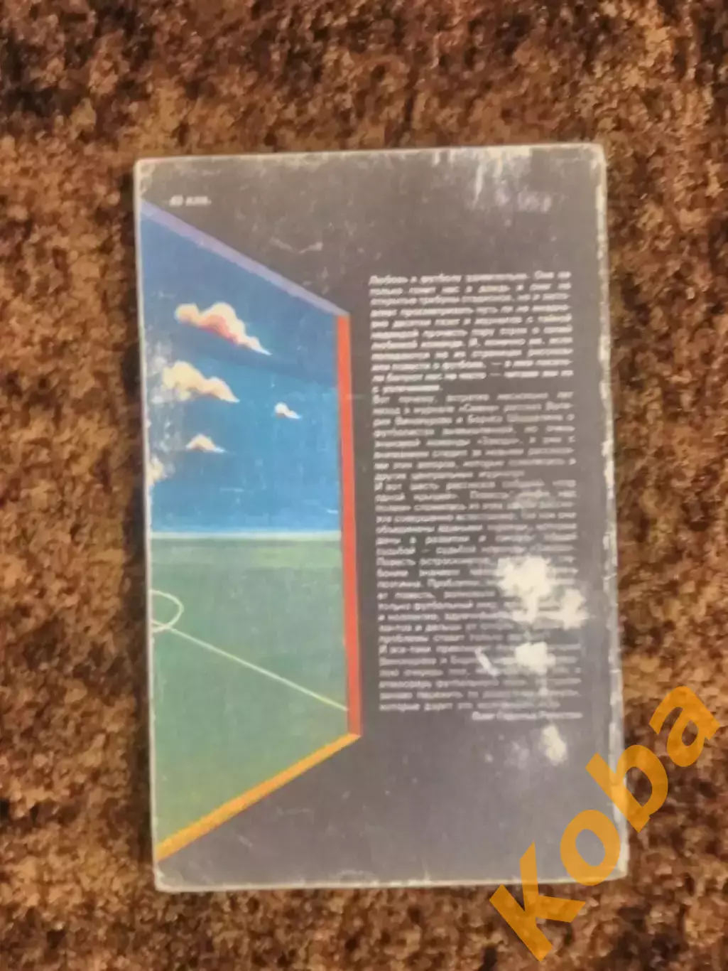 Небо над полем 1983 Винокуров Шурделин Футбол ФиС 1