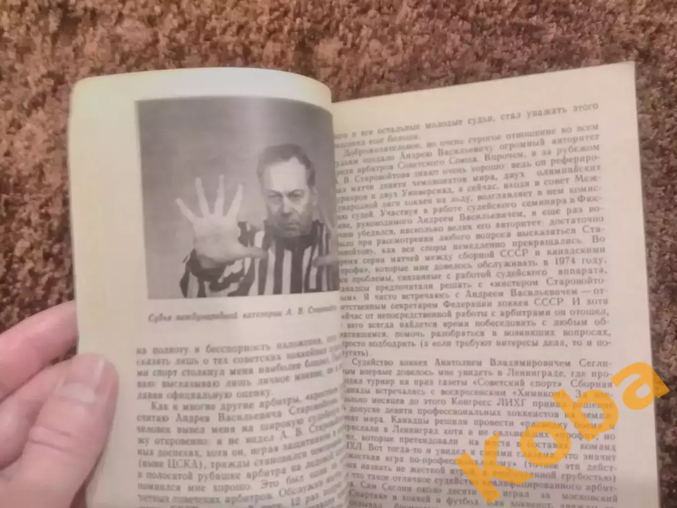 Судьями не рождаются Хоккей 1983 Гущин 3