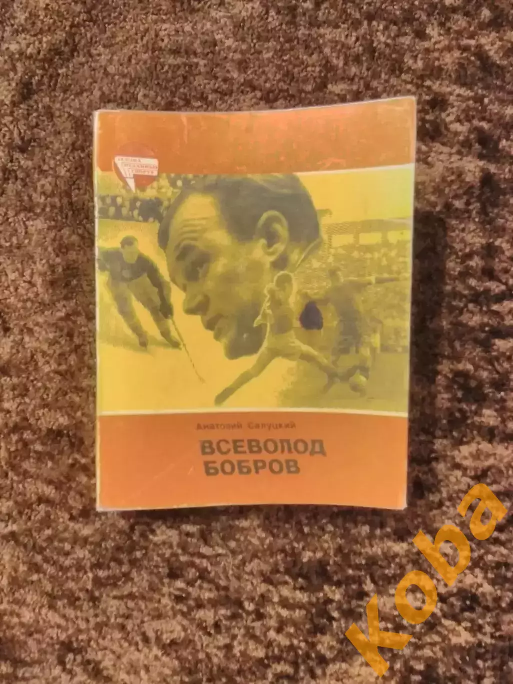 Всеволод Бобров Хоккей Футбол Салуцкий 1984