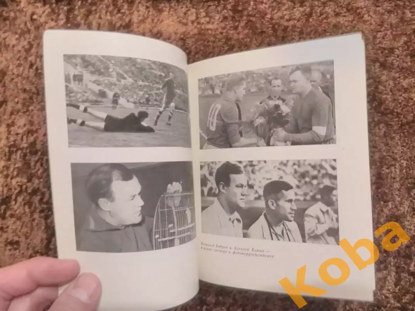 Всеволод Бобров Хоккей Футбол Салуцкий 1984 7