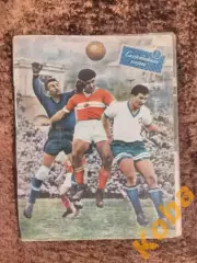 Хоккей Анатолий Тарасов Футбол накануне Испания - СССР Баскетбол США СИ 1960 №5