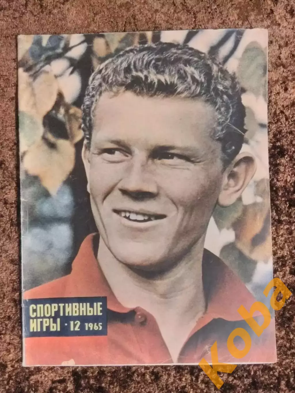 Чемпионат мира 1966 Хоккей Тарасов Торпедо Москва Лобановский Яшин СИ 1965 №12