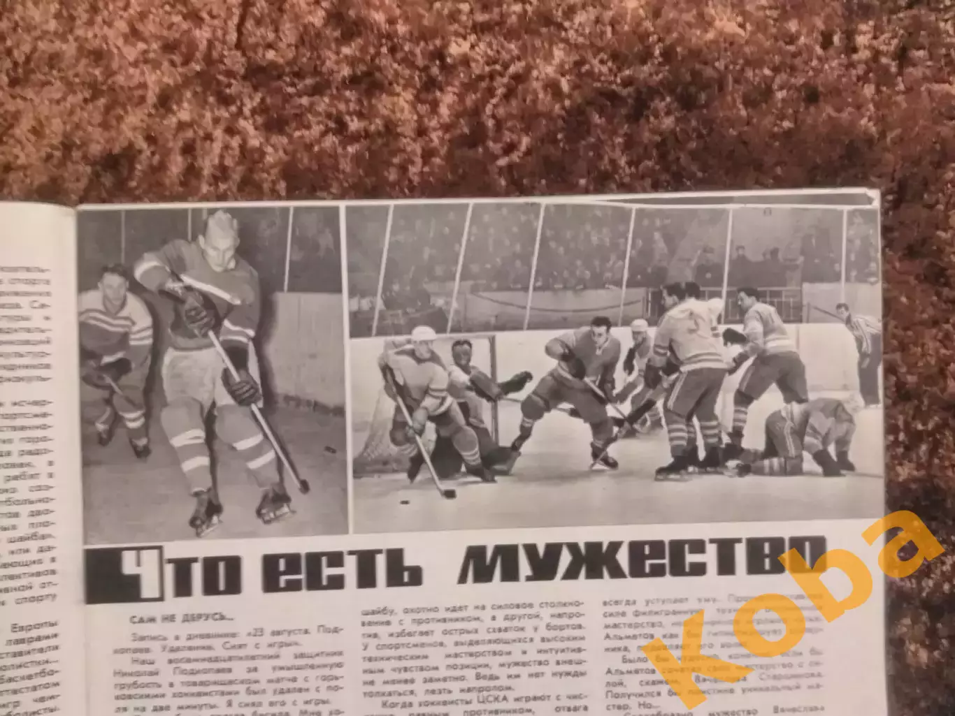 Чемпионат мира 1966 Хоккей Тарасов Торпедо Москва Лобановский Яшин СИ 1965 №12 5