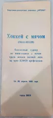 Всесоюзный турнир ВДФСО профсоюзов. Ринк-бенди. Омск. Сезон 1989