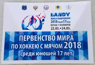 Первенствр мира 2018 по хоккею с мячом среди юношей. Ульяновск. Флаер