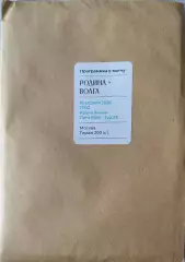 Родина Москва - Волга Ульяновск. Сезон 2025/26. Первая лига.