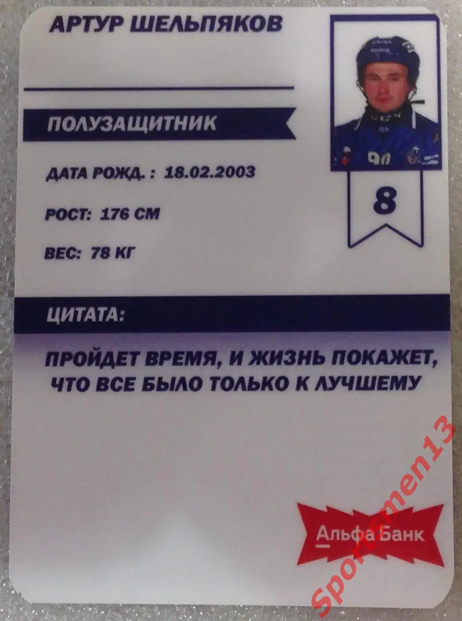 Хоккей с мячом. Карточка Артур Шельпяков, ХК Волга Ульяновск. Сезон 2024/25 1