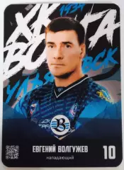 Хоккей с мячом. Карточка Евгений Волгужев, ХК Волга Ульяновск. Сезон 2025/26