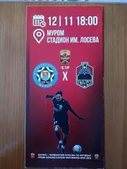 Программка на матч Муром - Казанка Москва 12.11.2020.