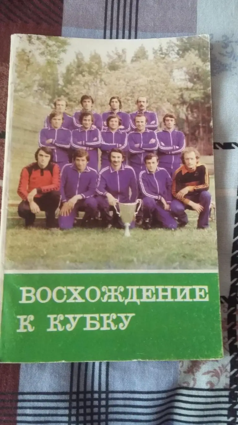 Восхождение к кубку.