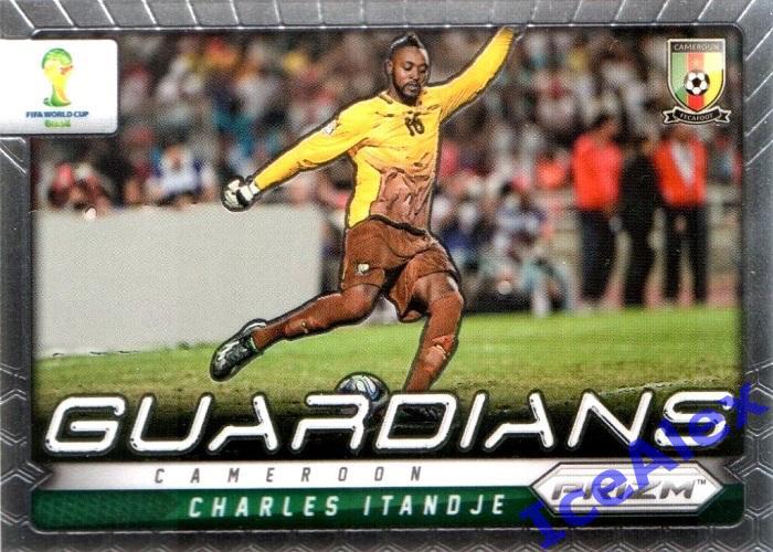 2014 Panini Prizm World Cup, Guardians, #6 Charles Itandje, base