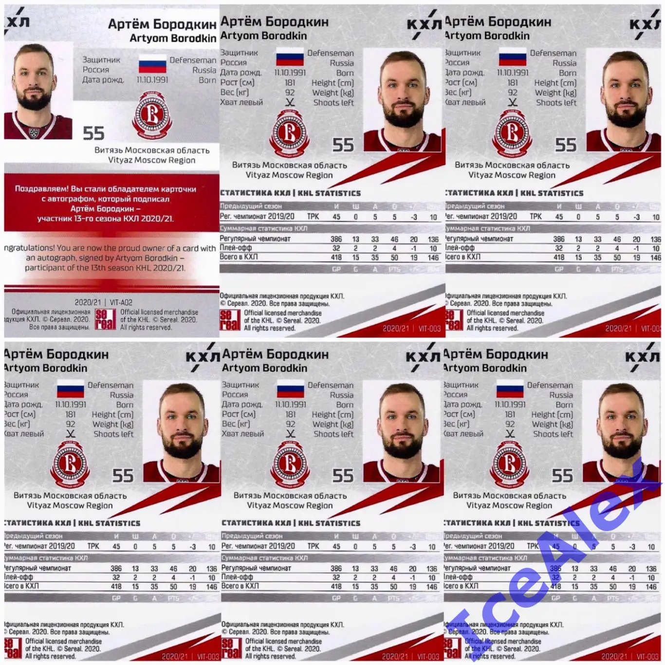 Sereal КХЛ 2020-21 13 сезон, Полный сет, Артём Бородкин, Витязь(авто,1/1)-6 карт 1