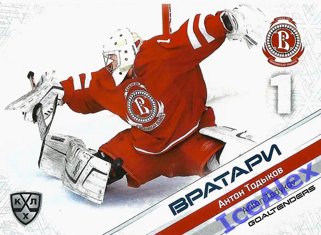 Sereal КХЛ 2020-21 13-й сезон, Вратари, Антон Тодыков, Витязь