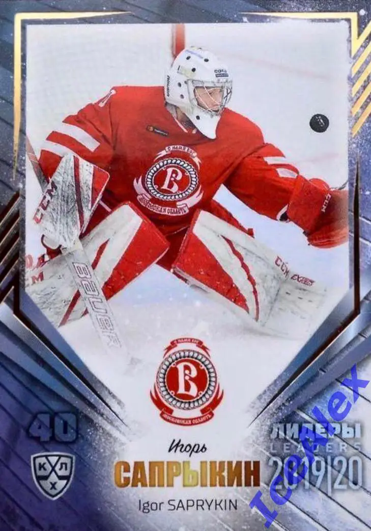 Сет Игоря Сапрыкина, Витязь,по разным коллекциям Sereal - 9 карт(авто,5,/10,/20) 6