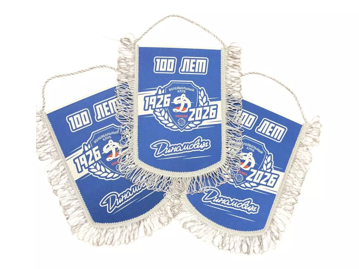 Вымпелмужской волейбол Динамо 100 лет