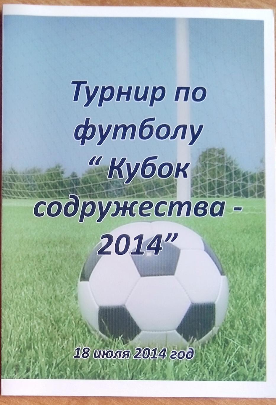 Турнир юношеский 2014 - кубок содружества (Сергиевск)