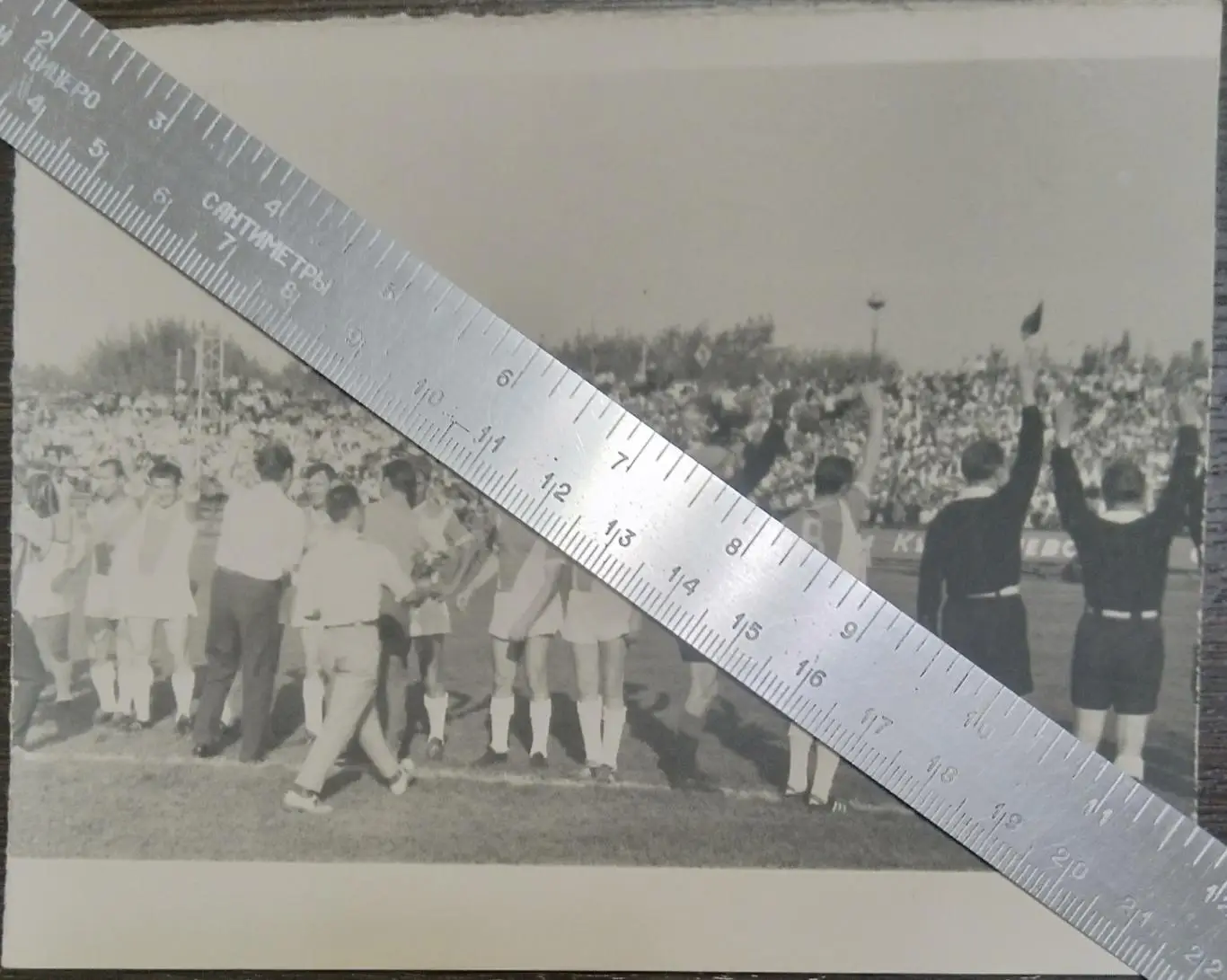 Фото: Крылья Советов Куйбышев - 1968 (ветераны)