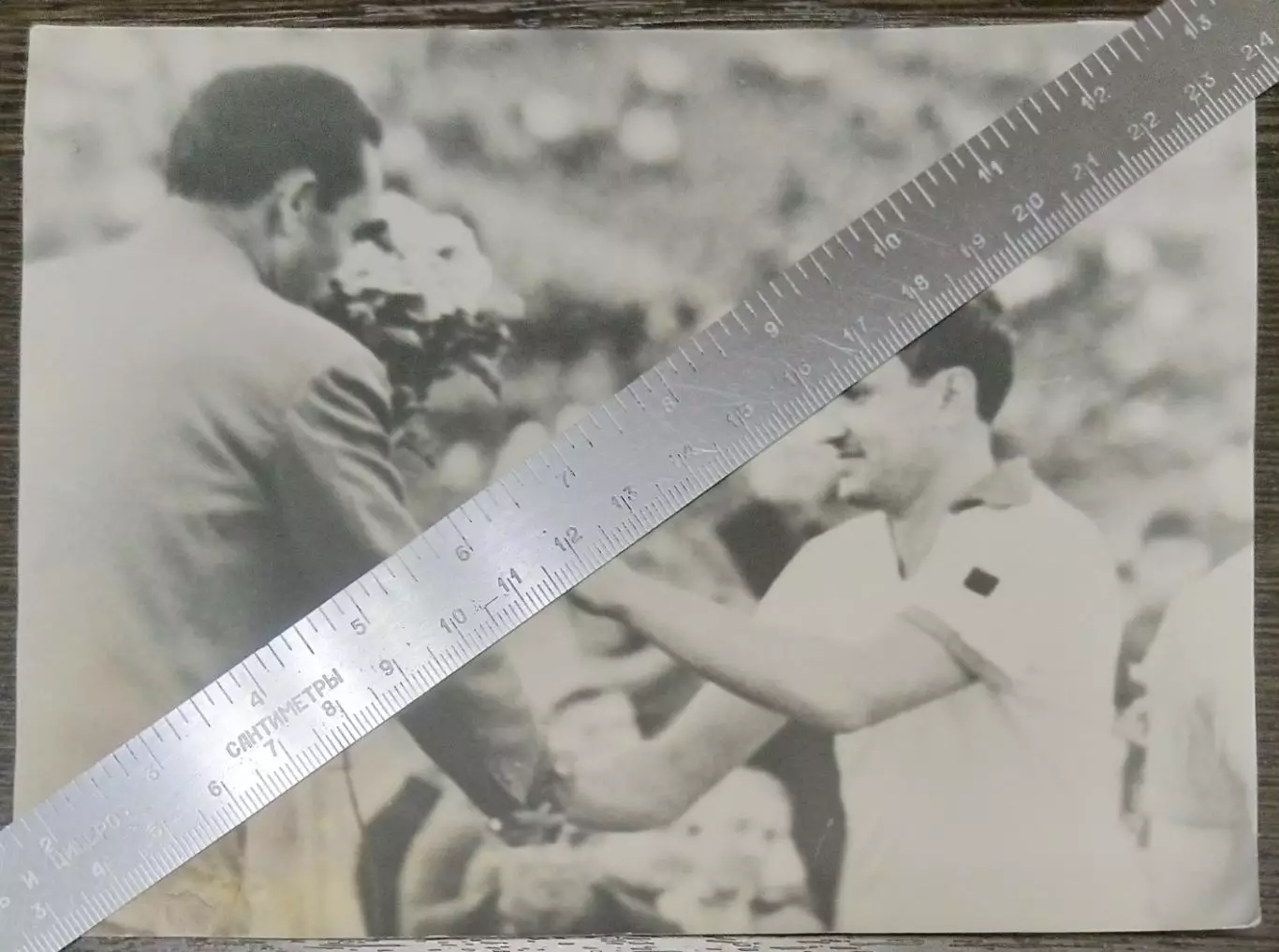 Фото: Крылья Советов Куйбышев (Борис Казаков)