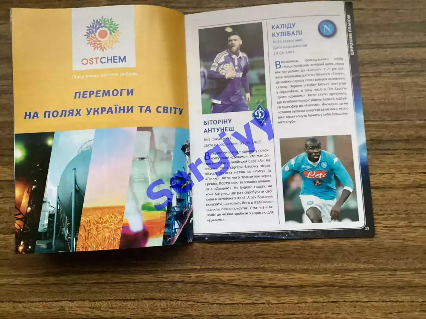 Динамо Київ - Наполі Неаполь Італія 2016 6