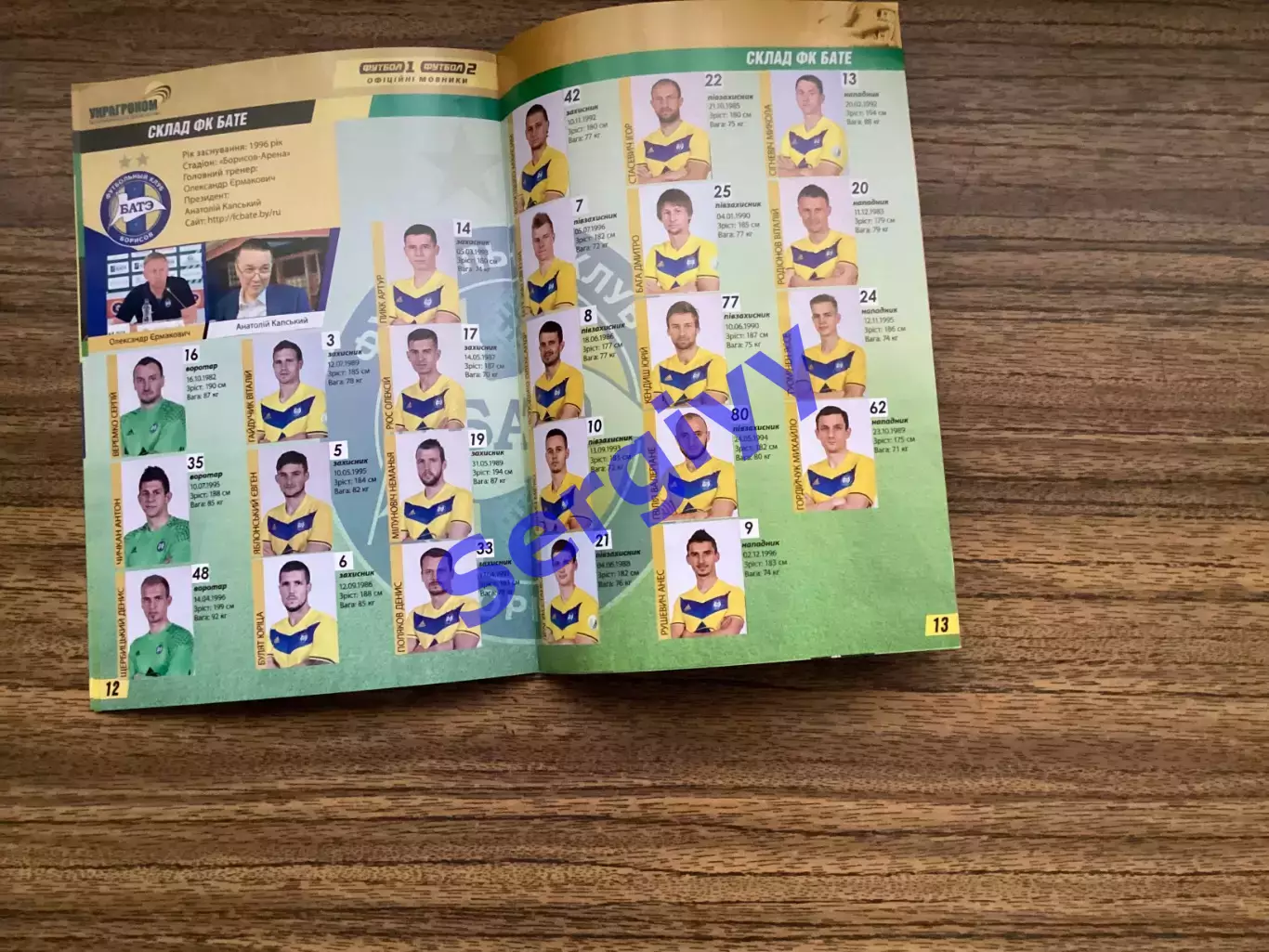 ФК Олександрія - БАТЕ Борисов Білорусь 2017 5