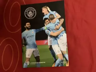 Манчестер Сіті Англія - Шахтар Донецьк 2017