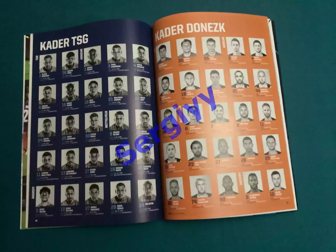 Хоффенхайм Німеччина - Шахтар Донецьк 2018 1