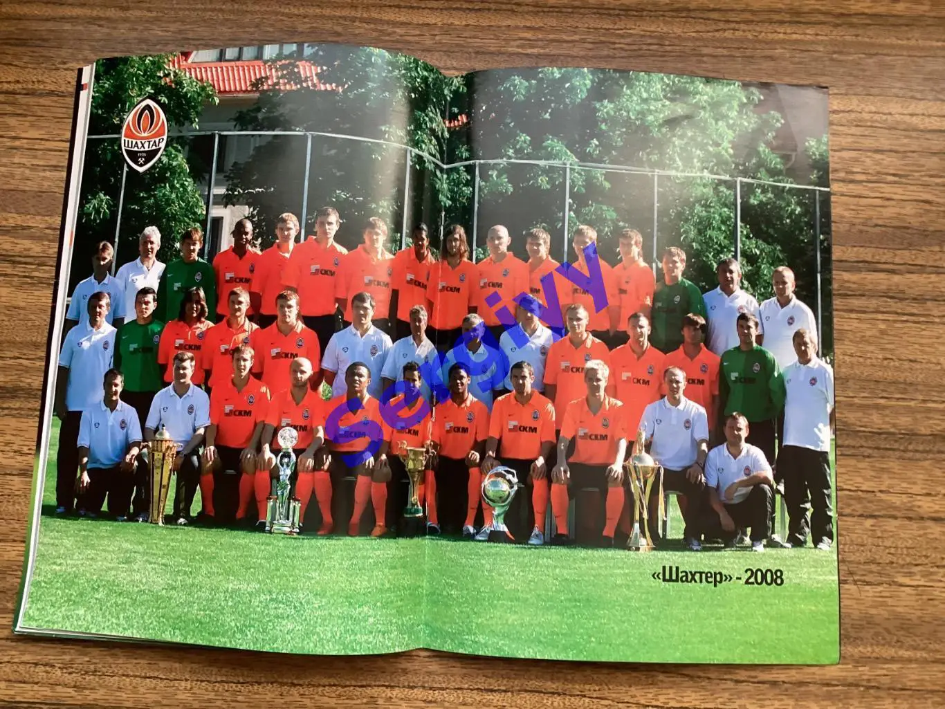 Шахтар Донецьк - Динамо Загреб Хорватія 2008 3