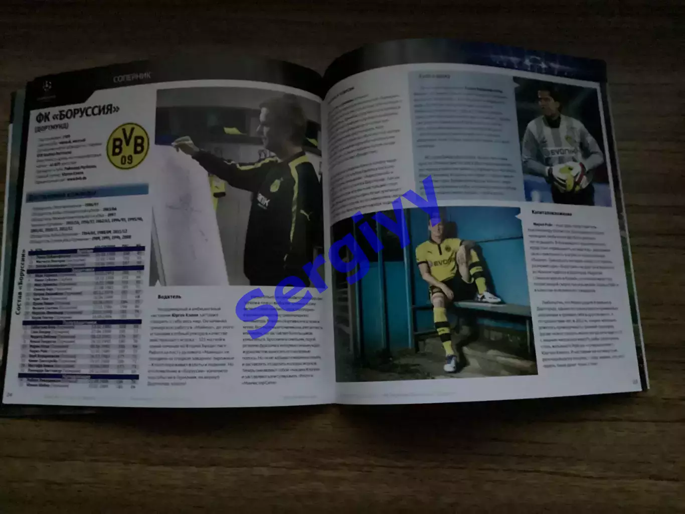 Шахтар Донецьк - Борусія Дортмунд Німеччина 2013 6