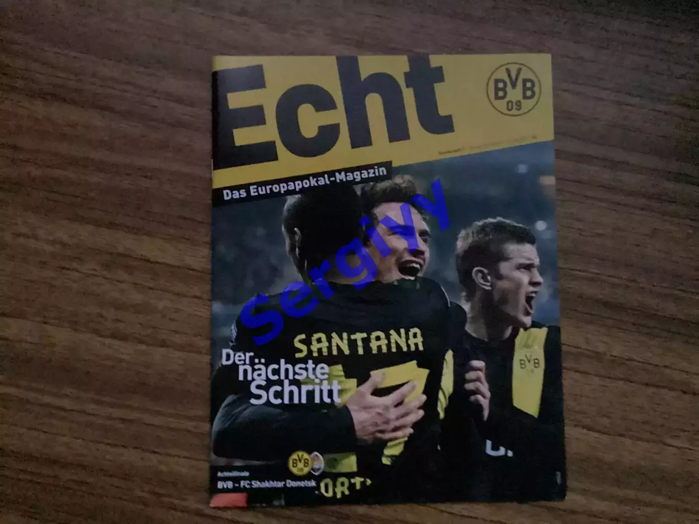 Борусія Дортмунд Німеччина - Шахтар Донецьк 2013