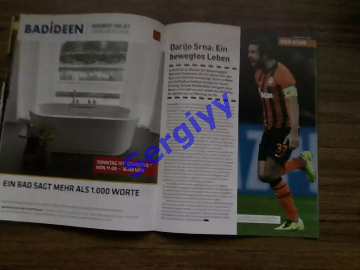 Борусія Дортмунд Німеччина - Шахтар Донецьк 2013 4