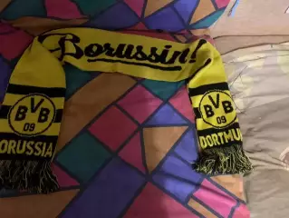 Шарф Боруссия Д.