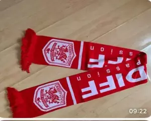 Шарф сб.Уєльса.