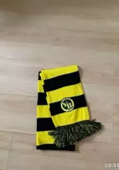 Шарф Янг-Бойз.